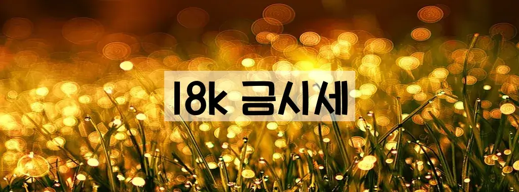 18k 금시세