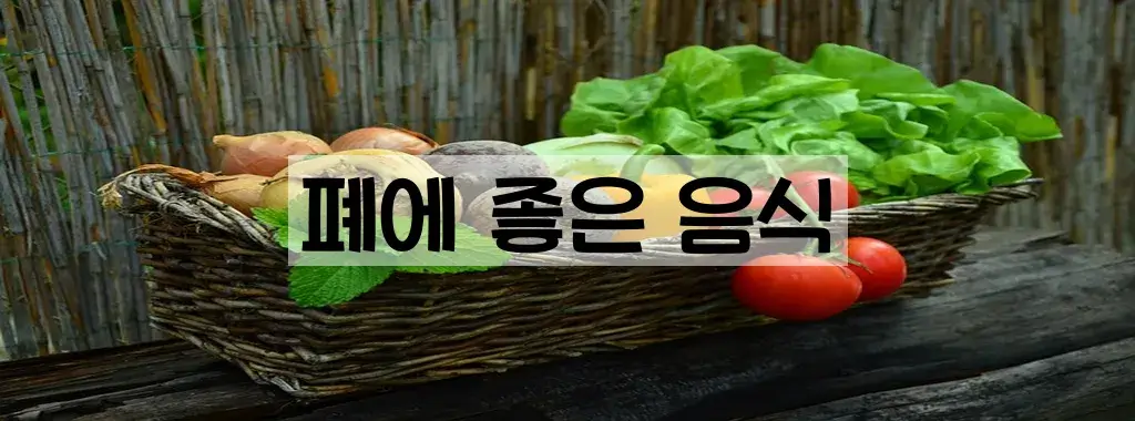 폐에 좋은 음식