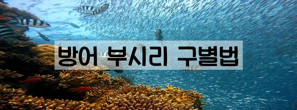 방어 부시리