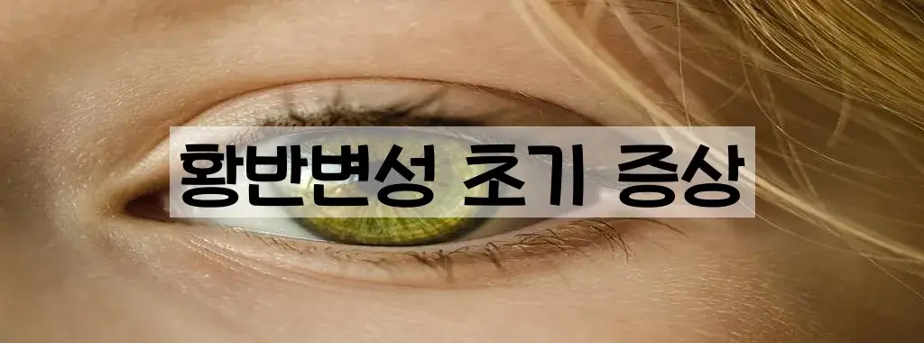 황반변성 초기 증상