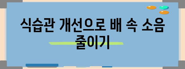 배 속 소음 해결담 | 경험이 들려주는 팁