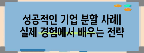 인적분할 & 물적분할| 기업 분할의 모든 것 | 법률, 절차, 장단점, 사례