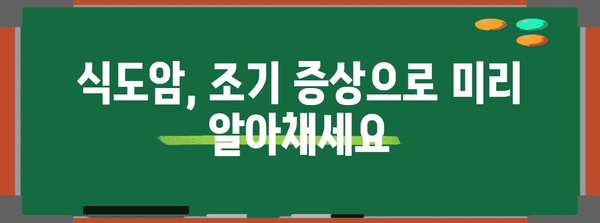 식도암 조기 증상 파악과 예방 조치 | 건강 유지의 중요성