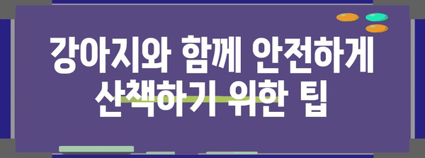 강아지 안전 산책 가이드 | 꼭 알아야 할 주의 사항과 팁