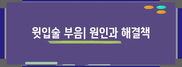 윗입술 부음 | 원인, 주의 사항, 대처법