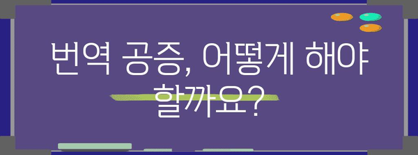 미국 비자 신청 서류 번역 팁 | 공증과 초청에서 후기까지