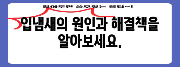 완벽한 입냄새 제거제 찾기 가이드