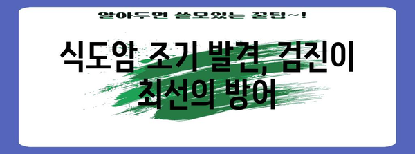 식도암 조기 증상 파악과 예방 조치 | 건강 유지의 중요성