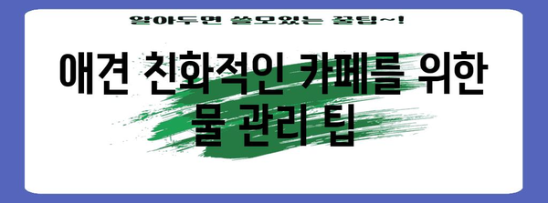 애견 동반 카페 물 공급의 혜택 가이드 | 안전하고 편리한 경험