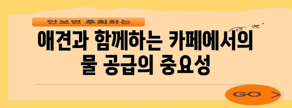 애견 동반 카페 물 공급의 혜택 가이드 | 안전하고 편리한 경험