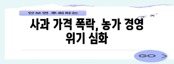 사과 가격 하락 | 대안책 고려가 시급