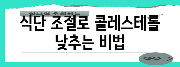 콜레스테롤 컨트롤 완벽 가이드 | 필수 원칙과 팁