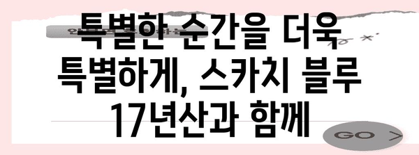 스카치 블루 17년산 | 잊지 못할 추억을 담은 한 잔의 매력