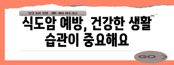 식도암 조기 증상 파악과 예방 조치 | 건강 유지의 중요성