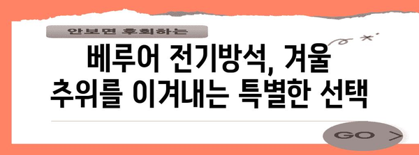 따뜻한 겨울, 베루어 전기방석 가이드 | 최고 모델 비교 및 추천