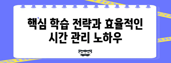 전문대→학사 편입 필승 전략 | 노하우 대 공개