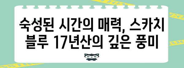 스카치 블루 17년산 | 잊지 못할 추억을 담은 한 잔의 매력