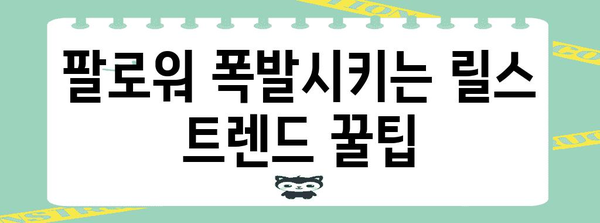 인스타그램 릴스 마스터가 되는 꿀팁! 팔로워 사로잡는 노하우