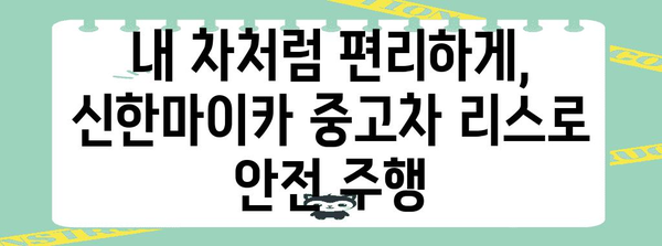 신한마이카 중고차 리스로 안심 주행, 안전 장비 추가 옵션