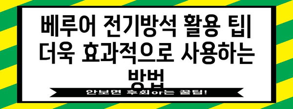 따뜻한 겨울, 베루어 전기방석 가이드 | 최고 모델 비교 및 추천