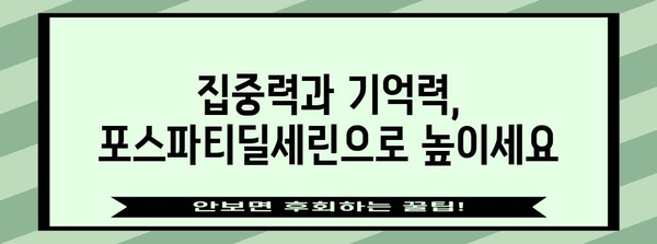 기억력 강화의 비결, 포스파티딜세린 파헤치기