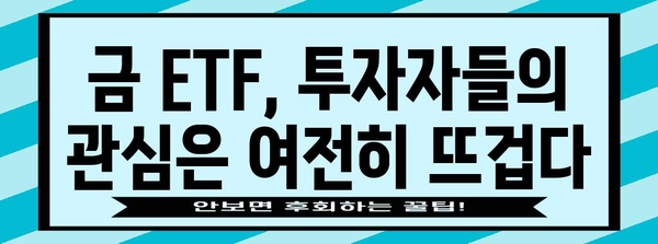 현재 금 ETF 상황 분석