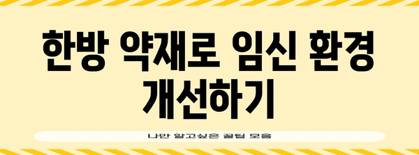 시험관 시술 한방 관리 | 성공률 높이는 비법