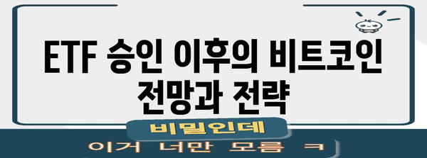 비트코인 상승의 핵심 요인 | ETF 승인과 바닥 가격 확인