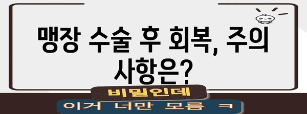 여성 맹장 위치와 수술 방법 | 명확한 안내서