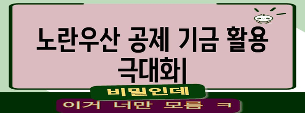 노란우산 공제 기금 활용 극대화