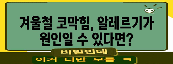 겨울 알레르기 코막힘 해결법 | 코 건강 관리 가이드