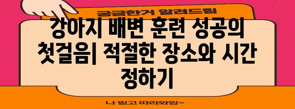 강아지 배변 훈련 꿀팁 | 실수를 완벽히 방지하는 5단계