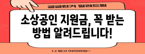 소상공인 지원금 신청 성공 비법 | 전문가 솔루션