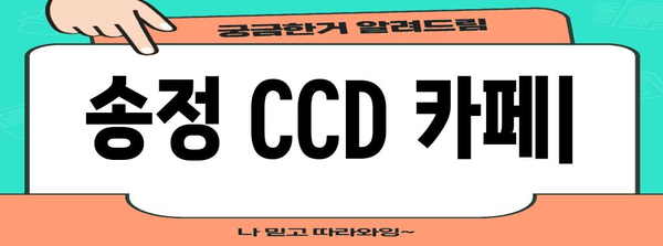 애견 동반 커피 맛집 리뷰 | 송정 CCD 카페