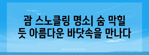 필수 괌 스노클링 액티비티 | 숨 막히는 수중 경험 탐방