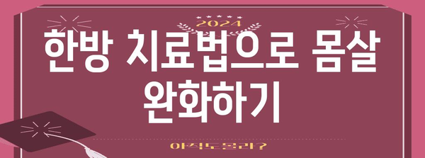 몸살 즉석 완화법 | 한방과 서양의 조화