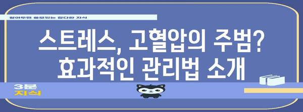 고혈압 해결책 | 증상, 원인, 식단, 스트레스 관리 팁