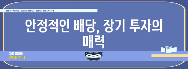 배당주 투자의 매력 | 수익률과 위험 분석