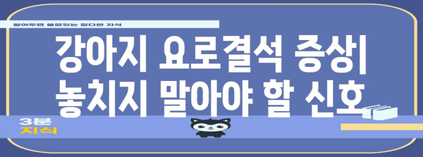 강아지 요로결석의 원인, 증상, 치료법 파악