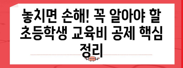 연말정산 초등학생 교육비 꿀팁| 놓치지 말아야 할 핵심 공제 항목 정리 | 초등학생 교육비, 연말정산, 세금 공제, 절세 팁