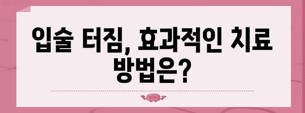 입술 터짐 해결책 | 원인, 치료, 예방