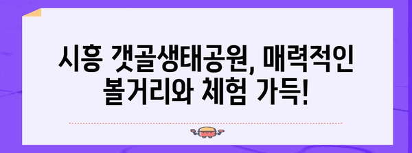 시흥 갯골생태공원| 가볼 만한 곳, 볼거리, 체험 정보 총정리 | 시흥 가볼만한 곳, 생태공원, 데이트 코스