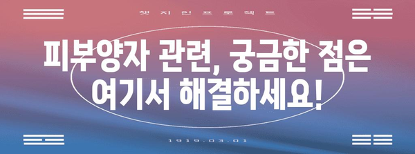 연말정산 피부양자 확인| 나에게 맞는 방법 알아보기 | 연말정산, 피부양자, 소득공제, 절세 팁