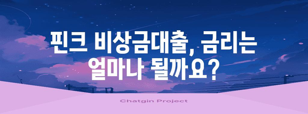 핀크 비상금대출 | 조건, 금리, 한도 한번에 비교