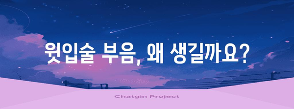 윗입술 부음 | 원인, 주의 사항, 대처법