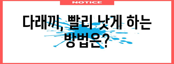 다래끼 전염성과 예방법 | 감염 가능성과 대비책