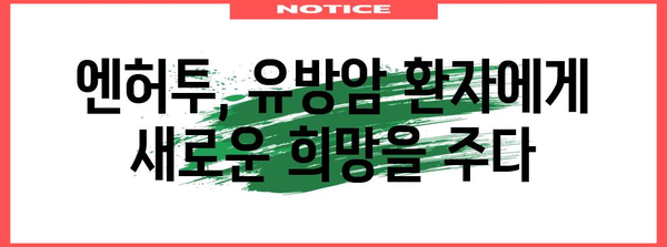 유방암 치료제 엔허투 | 건보 적용과 부작용 소개