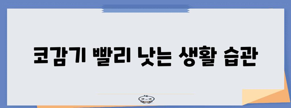 코감기 빠른 회복법 7가지