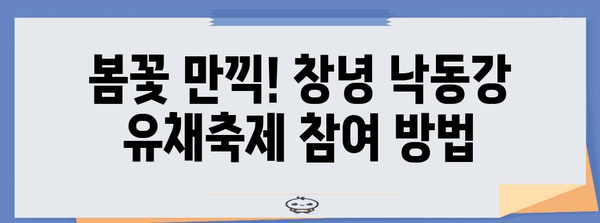 창녕 낙동강 유채축제 | 행사 내역, 참여 방법 공개