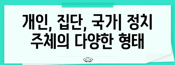 정치 주체의 이해, 역할 및 유형